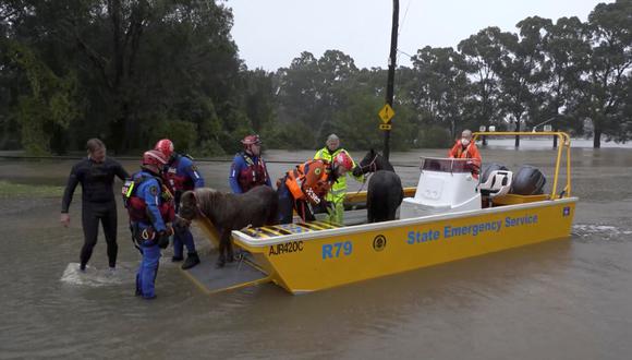 Un equipo de emergencia rescata a dos ponis de un área inundada en Milperra, área metropolitana de Sydney, Australia.