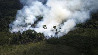 La Amazonía de Brasil arde a velocidad récord, según imágenes de satélite | VIDEO