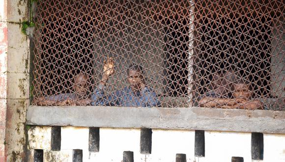 Indignación en Sierra Leona por condena de 2 días de cárcel a violador de menor. Foto referencial: AFP