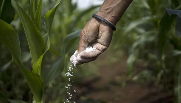 A los mercados también les preocupa que las posibles sanciones a Rusia, un gran exportador de bajo costo de los principales tipos de nutrientes para cultivos, puedan afectar el comercio mundial. El año pasado, Rusia representó el 70% de los fertilizantes de Perú. (Foto: AFP)
