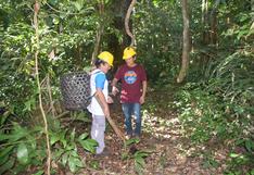 Madre de Dios: ¿qué hay detrás de los bonos de carbono que ayudan a los castañeros y al bosque?