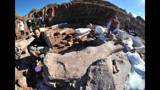 Argentina: El dinosaurio más grande jamás descubierto
