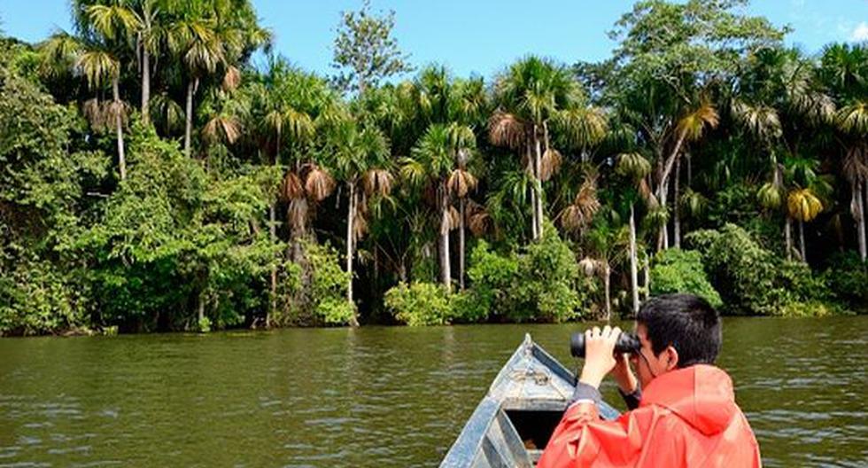 La Reserva Nacional Tambopata recibe cada año a más de 45,000 visitantes (Imagen: GettyImages)
