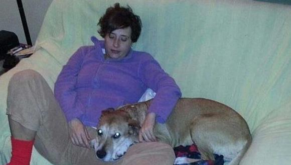 Ébola: España no ve delito en la muerte del perro Excálibur