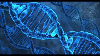 Edición del ADN sería la clave para curar la anemia falciforme