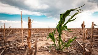 México: ¿cuáles son los estados y municipios con sequía?