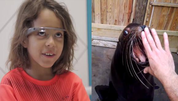 Niños de un hospital visitan zoológico a través de Google Glass