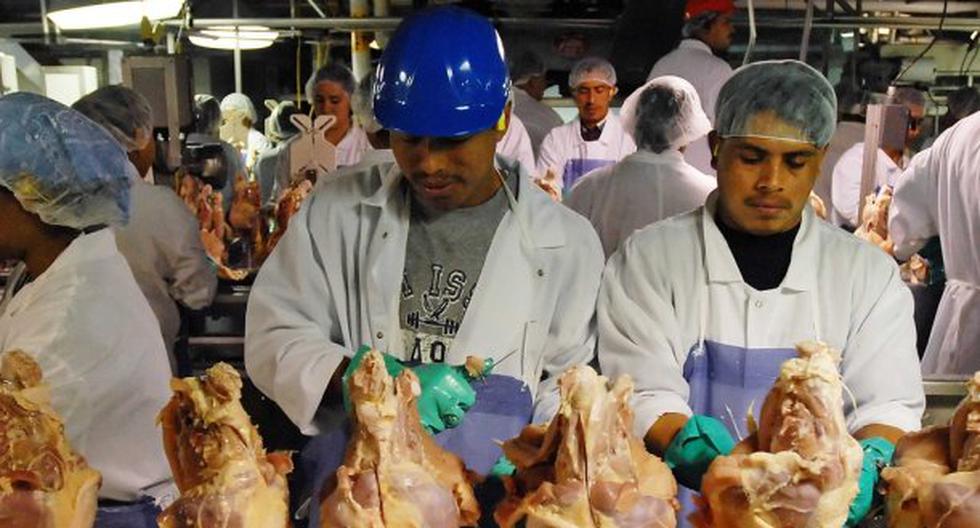 Sector avícola obliga a empleados a usar pañales para no parar trabajo. (Foto: John D. Simmons / The Charlotte Observer)