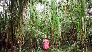 Peruana Sofía Álvarez ganó concurso de fotografía de la FAO