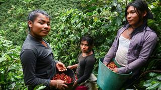 Indígenas transgénero en Colombia, una vida en fuga entre cafetales