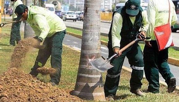 Replantarán árboles del by-pass 28 de Julio en otras avenidas