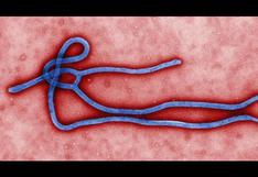 Ébola: Descubren que este virus muta más lentamente que otros