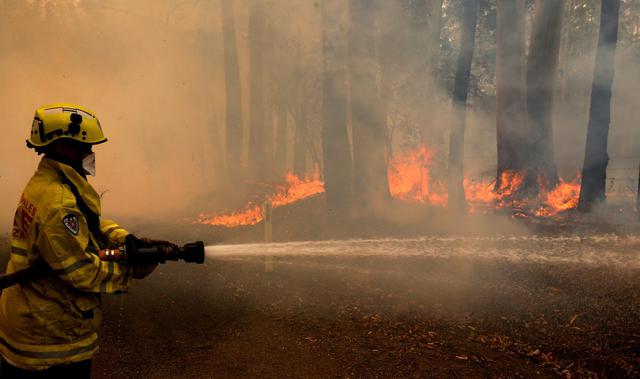 Un miembro de la tripulación de bomberos de Gloucester combate las llamas de un incendio forestal en Koorainghat, cerca de Taree, en la región de la costa norte central de Nueva Gales del Sur, Australia. (Reuters)