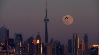 “Superluna de sangre de lobo” | Revive el impresionante primer eclipse de 2019