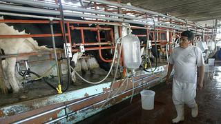 En breve: ¿Qué dice la ley que prohíbe el uso de leche en polvo reconstituida?