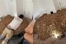 La reacción viral de una familia al encontrar 300 kg de bellotas en las paredes de su casa