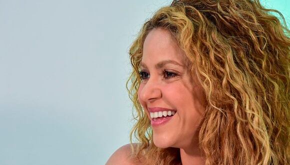 ¿Sabes qué quiso decir Google Translate si traduces "Shakira"? Traductor recibe críticas de parte de fans de la cantante. (Foto: AFP)