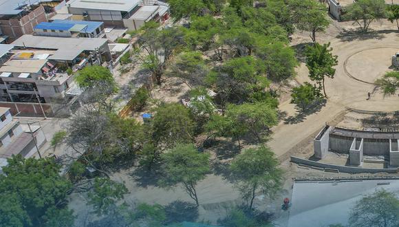 Municipalidad de Piura niega tala de árboles durante construcción del Parque de las Aguas. (MPP/Facebook)