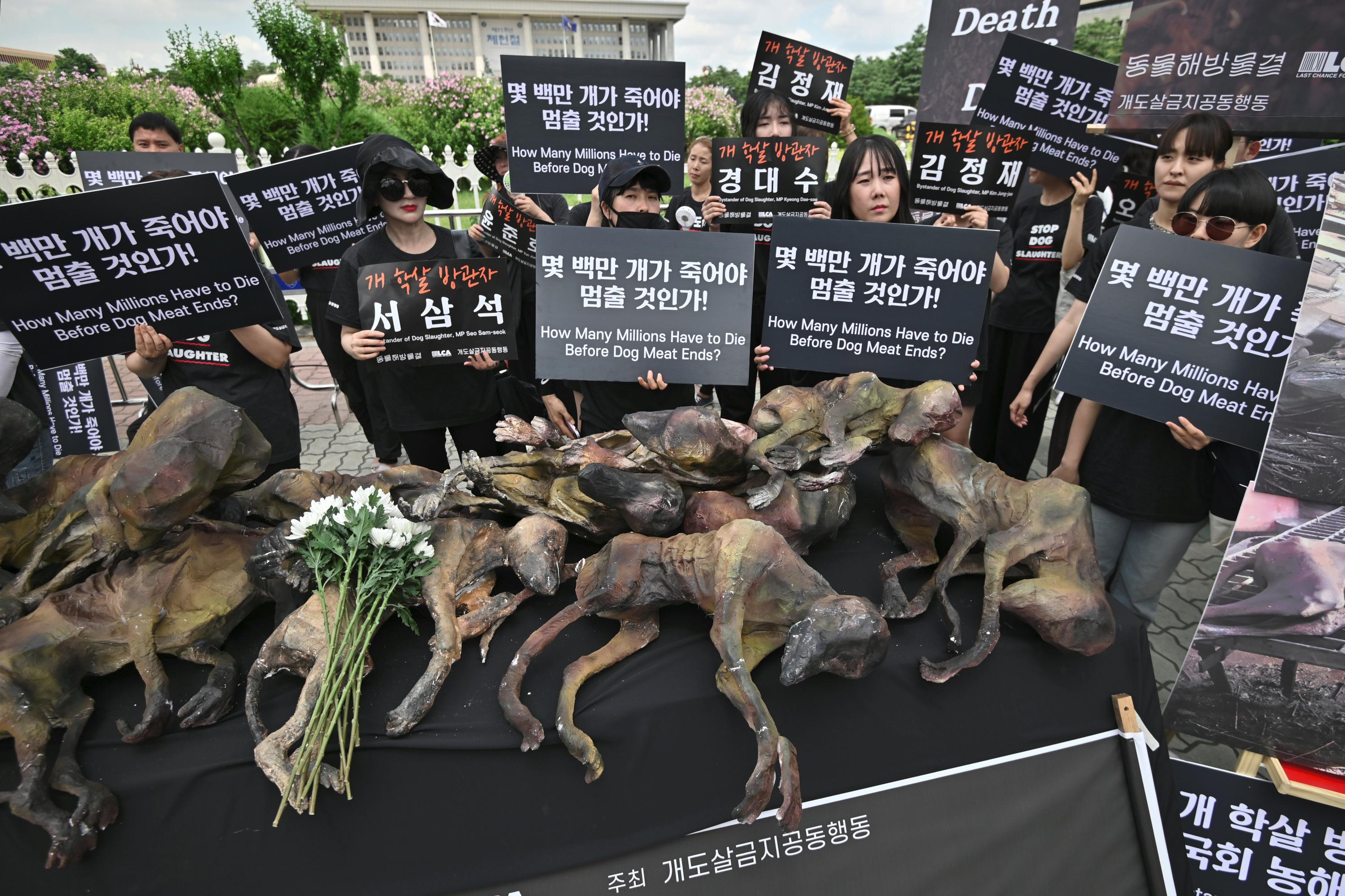 Los activistas por los derechos de los animales de Corea del Sur sostienen pancartas junto a imitaciones de perros muertos durante la protesta contra el comercio de carne de perro. Foto: AFP