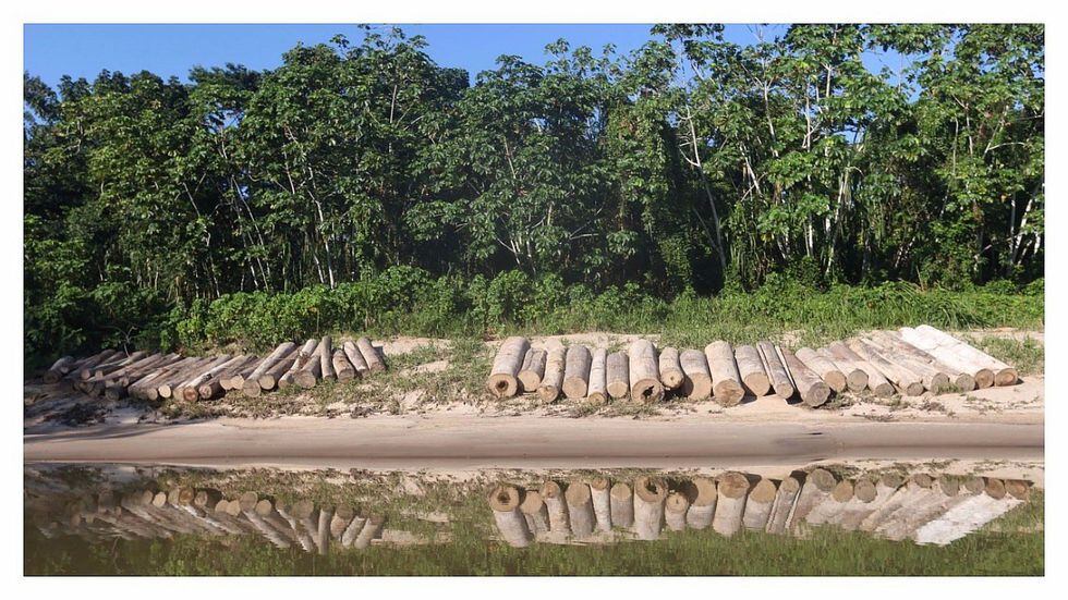 Entre el intervalo del 2001 y 2018, la cifra de pérdida de bosque alcanzó su valor máximo en el 2014 con 177.000 hectáreas. De hecho, durante estos últimos 17 años, la suma total de pérdida de nuestros bosques amazónicos alcanzó los 2 millones 284 mil 889 hectáreas. (Foto: difusión).