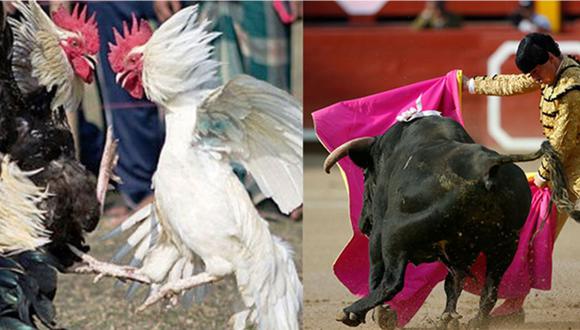 “El TC sí ha resuelto prohibir las corridas de toros y peleas de gallos en las localidades donde no constituyen tradiciones culturales”. (Fotos: Agencia Andina).