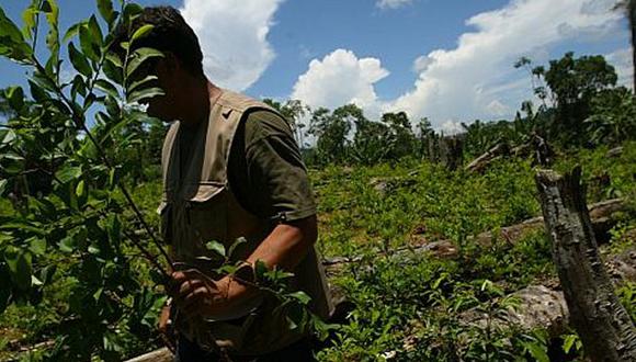 "La institución responsable de limitar el cultivo de la hoja de coca y prevenir su utilización como insumo para cocaína ha adoptado –sin demasiado sigilo– la agenda de los cocaleros, a quienes debería regular" (Foto: peru21.pe).