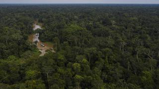 El Parque Nacional da Serra do Divisor amenazado por una nueva carretera hacia el Perú
