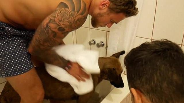 El ex Jackass Steve-O compartió en Facebook la increíble relación que tiene con su mascota, una perrita que sacó de las calles en Perú mientras grababa un programa para YouTube Red. (YouTube / Facebook)