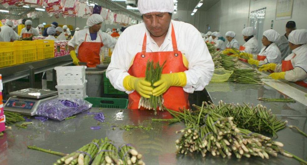 La industria exportadora de alimentos genera actualmente empleo para 1.6 millones de peruanos, según ADEX. (Foto: Andina)