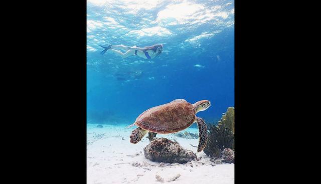 4. Bonaire. Isla con playas de fina arena blanca y con bellas especies marinas, con las que puedes nadar. Ofrece alojamientos desde 150 euros por noche. Foto: Instagram: @marthaaguillespie