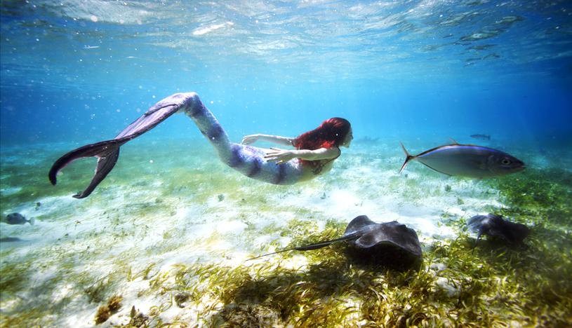 (Foto: Shutterstock)