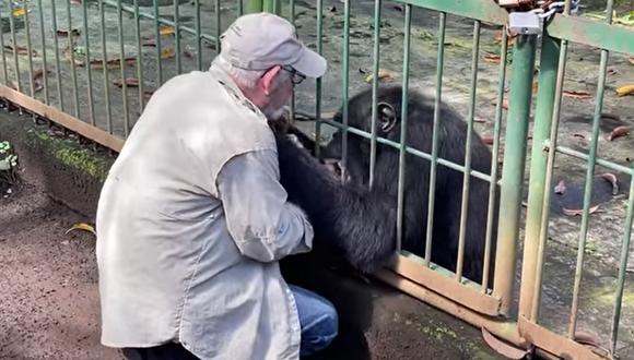 En el video publicado en Facebook se puede observar al veterinario conmovido, abrazando y acariciando al chimpancé con quien convivió por 25 años y a quien ayudó a curar en dos ocasiones.