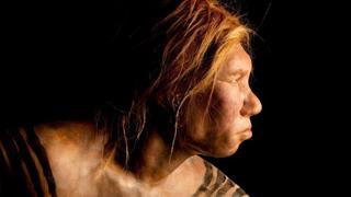 Cómo la huella genética de los neandertales influye en nuestra vida diaria