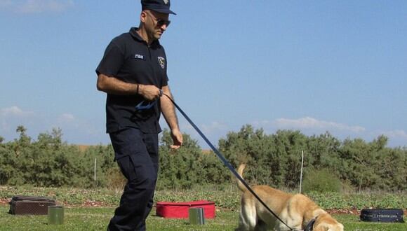 Policías estadounidenses dieron un gran ejemplo al mundo al sacar a pasear a más de 100 perros de un refugio | Foto: Pixabay / Referencial