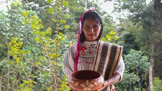 Warmi awadora: la historia de las mujeres tejedoras que protegen los bosques de la Amazonía peruana