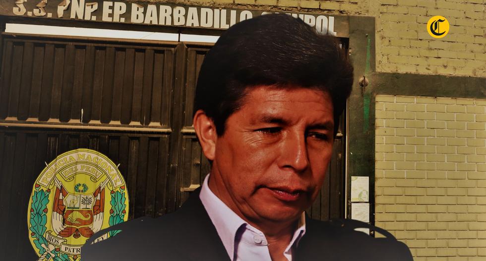 Pedro Castillo afronta una investigación por los delitos de organización criminal, tráfico de influencias y colusión. (Foto: El Comercio)