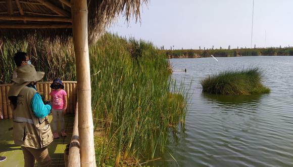 Pantanos de Villa es un área natural protegida especial ya que es la única que se encuentra en plena ciudad de Lima. (Foto: Alvaro Treneman)