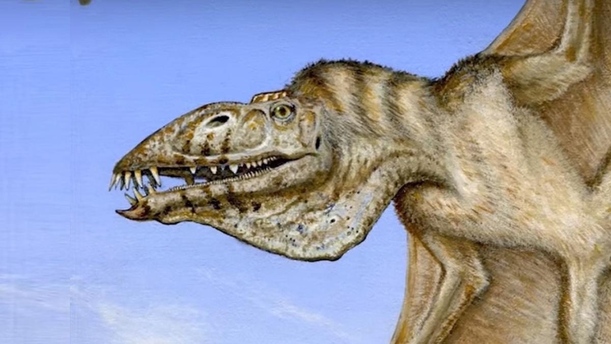 Pterosaurio hallado en Utah | La bestia alada que existió mucho antes que  el T-Rex y que tenía 112 dientes | VIDEO | TECNOLOGIA | EL COMERCIO PERÚ