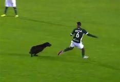 YouTube: perro ingresó a campo de juego y persiguió a jugador en Brasil