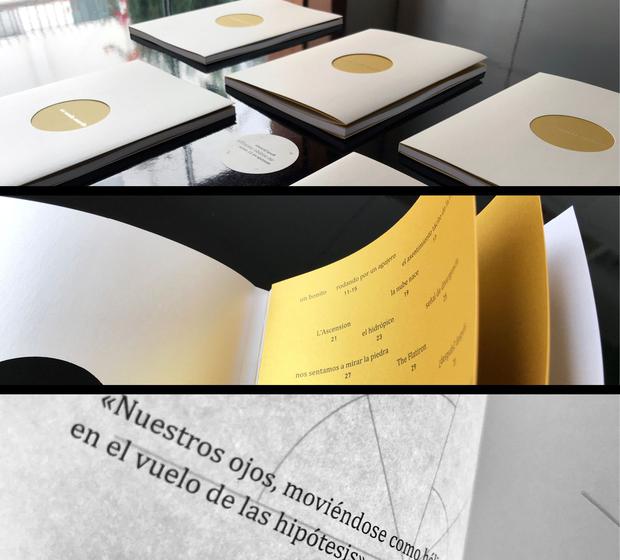 "A yellow sound", by the poet Rosa Granda, has been published by the publishing house Álbum del Universo Bakterial.