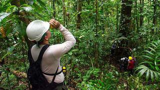 Concesiones forestales: ¿ha funcionado este modelo para impulsar el desarrollo en la Amazonía peruana?