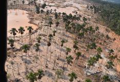 Solo en febrero se perdieron más de 150 ha de bosque de Madre de Dios por minería: ¿qué hay detrás?
