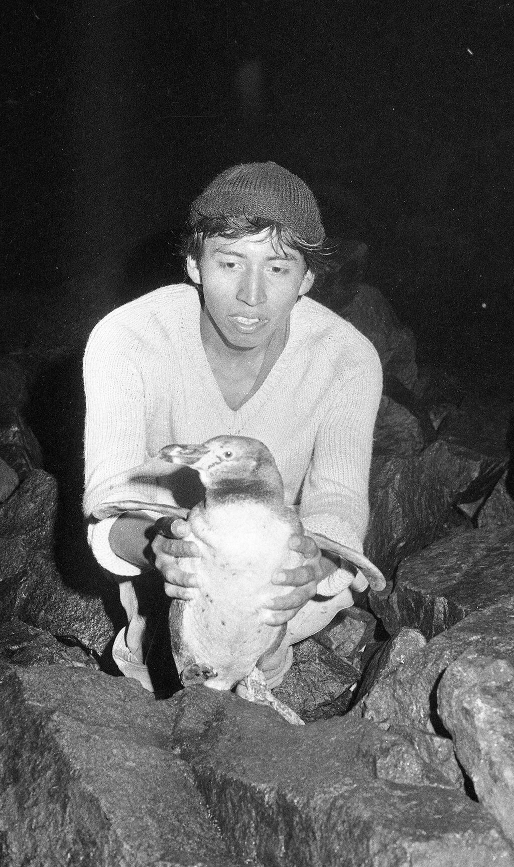 Miguel Angel Mosoco muestra al pingüino que encontró varado en el mar limeño. (Foto: Carlos del Rosario/GEC Archivo Histórico)