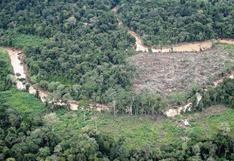 Brasil: Gobierno anunció que deforestación amazónica bajo un 28%