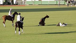 YouTube: yegua falleció por paro cardíaco en partido de polo