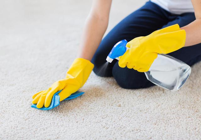 Cómo conservar mejor las alfombras de casa  - 2