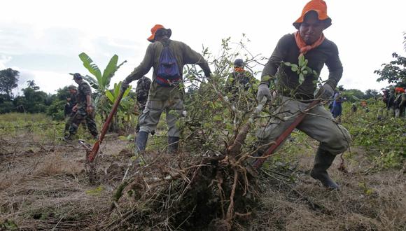 Entre 50 y 55 mil hectáreas de cultivos ilícitos de hoja de coca hay actualmente en el Perú, según Devida. (Foto: Dante Piaggio / Archivo El Comercio)