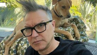 Mark Hoppus, cantante y bajista de Blink-182, anuncia que está en tratamiento contra el cáncer