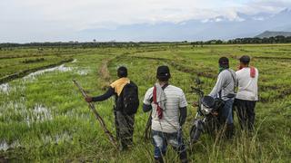 Campesinado se niega a dejar haciendas ocupadas pese a “ultimátum” de gobierno colombiano