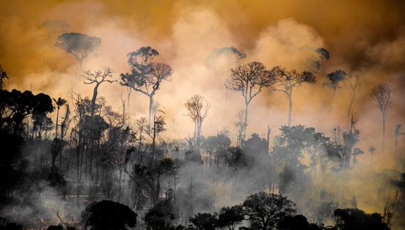 Bosque junto a los límites del territorio indígena Kaxarari, en Lábrea, estado de Amazonas, durante la temporada de quema 2020 en la Amazonía brasileña. Foto: © Christian Braga / Greenpeace